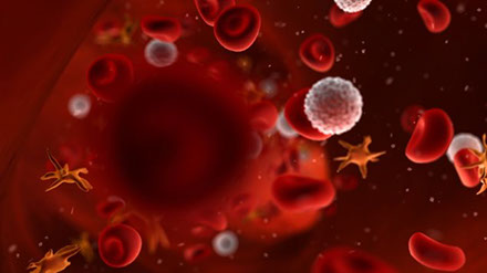 Lorenzo Ferri, white blood cells, McGill University, metastasis